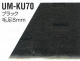 ウイングロード Y12 H17年11月以降 KU70 ブラック