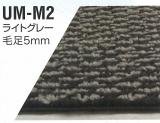 SAI AZK10 H23年11月以降 UM-M2 ライトグレー